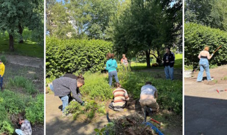 Schulgarten der BBS Buxtehude